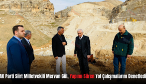 AK Parti Siirt Milletvekili Mervan Gül, Yapımı Süren Yol Çalışmalarını Denetledi