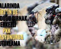 Aralarında Siirt’in De Bulunduğu Şırnak Merkezli PKK Operasyonunda 9 Tutuklama