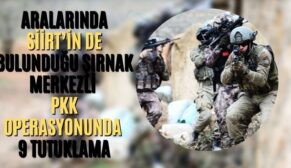 Aralarında Siirt’in De Bulunduğu Şırnak Merkezli PKK Operasyonunda 9 Tutuklama