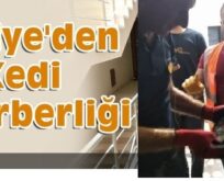 ASANSÖR BOŞLUĞUNA DÜŞEN KEDİYİ İTFAİYE EKİPLERİ KURTARDI