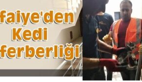 ASANSÖR BOŞLUĞUNA DÜŞEN KEDİYİ İTFAİYE EKİPLERİ KURTARDI