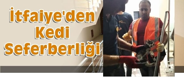 ASANSÖR BOŞLUĞUNA DÜŞEN KEDİYİ İTFAİYE EKİPLERİ KURTARDI