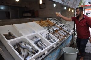 3,5 aylık aranın ardından Balık sezonun açılmasıyla birlikte, Siirt’te balıkçı