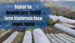 Baykan’da Dolunun Zarar Verdiği Tarım Alanlarında Hasar Tespiti Yapıldı