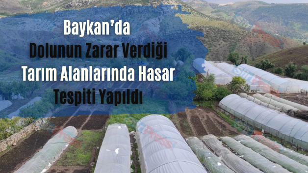 Baykan’da Dolunun Zarar Verdiği Tarım Alanlarında Hasar Tespiti Yapıldı