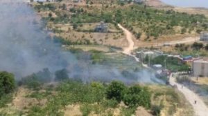 Siirt’in Baykan ilçesine bağlı Atabağı beldesinde bir bahçede çıkan yangın