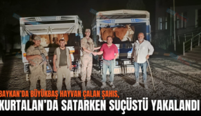 BAYKAN’DA BÜYÜKBAŞ HAYVAN ÇALAN ŞAHIS, KURTALAN’DA SATARKEN SUÇÜSTÜ YAKALANDI