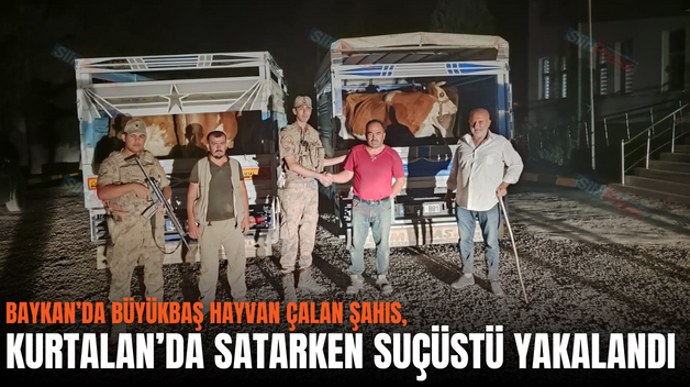 BAYKAN’DA BÜYÜKBAŞ HAYVAN ÇALAN ŞAHIS, KURTALAN’DA SATARKEN SUÇÜSTÜ YAKALANDI