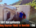 Bitlis-Siirt Karayolunda Küçükbaş Hayvan Yüklü Tır Devrildi: 1 Ölü 1 Yaralı