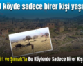 Bitlis, Siirt ve Şırnak’ta Bu Köylerde Sadece Birer Kişi Yaşıyor