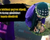 Boğulma Tehlikesi Geçiren Köpeği, Türk Kızılay Gönüllüleri Hayata Döndürdü