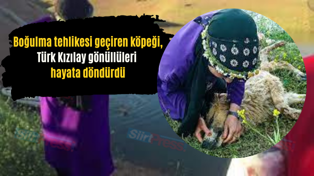 Boğulma Tehlikesi Geçiren Köpeği, Türk Kızılay Gönüllüleri Hayata Döndürdü