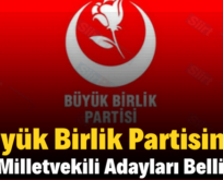 Büyük Birlik Partisinin Siirt Milletvekili Adayları Belli Oldu