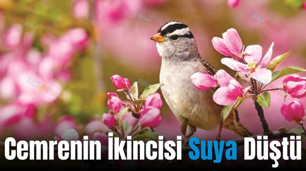 Cemrenin İkincisi Suya Düştü