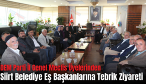 DEM Parti İl Genel Meclis Üyelerinden Siirt Belediye Eş Başkanlarına Tebrik Ziyareti