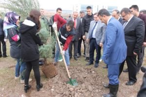 Siirt Belediyesi ve Üniversite işbirliğince, Kezer yerleşkesinde, fidan dikimi etkinliği