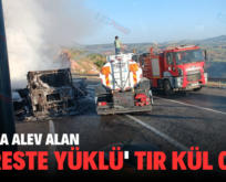 ERUH’TA ALEV ALAN KERESTE YÜKLÜ TIR KÜL OLDU