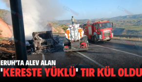 ERUH’TA ALEV ALAN KERESTE YÜKLÜ TIR KÜL OLDU