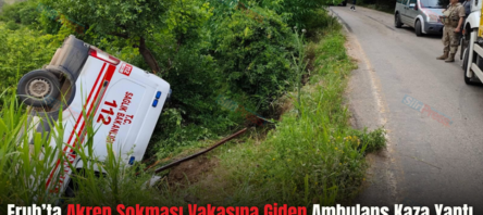 Eruh’ta Akrep Sokması Vakasına Giden Ambulans Kaza Yaptı