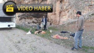 Siirt Belediyesi Veteriner Müdürlüğünde yaklaşık 8 yıldır ulaşım görevlisi olarak