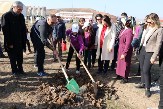 GÖNÜL ELÇİLERİNDEN “BEREKET ORMANI” PROJESİ