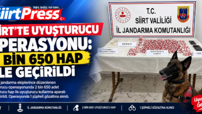 Siirt’te jandarma ekiplerince düzenlenen uyuşturucu operasyonunda 2 bin 650 adet