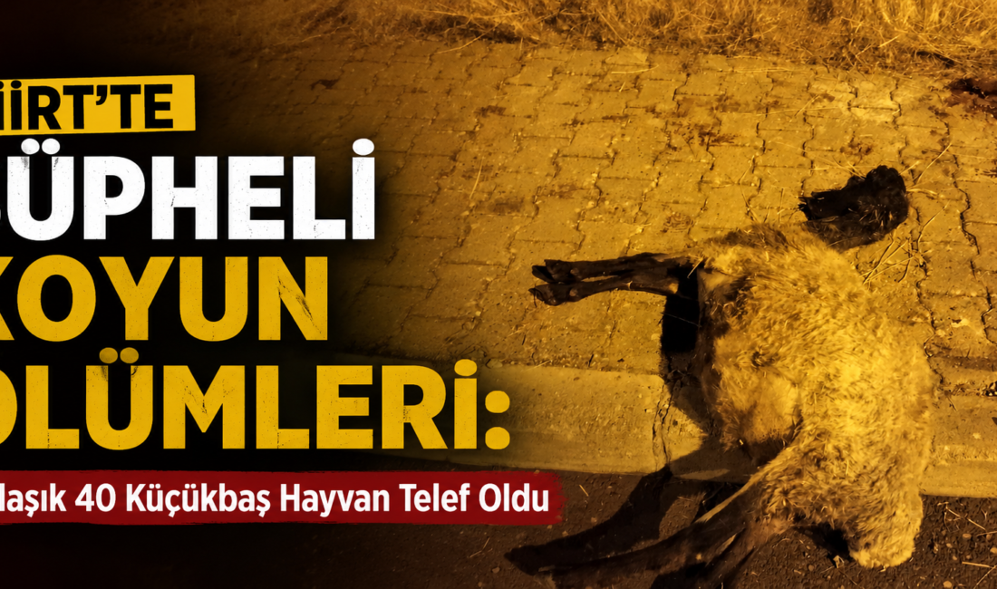 Siirt'te Organize Sanayi Bölgesi mevkiinde meydana gelen olayda, iddiaya göre