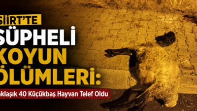 Siirt'te Organize Sanayi Bölgesi mevkiinde meydana gelen olayda, iddiaya göre