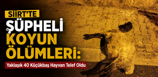 Siirt'te Organize Sanayi Bölgesi mevkiinde meydana gelen olayda, iddiaya göre