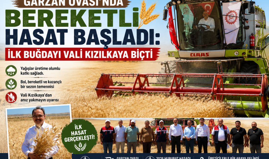 Siirt'te 2026 yılı hububat hasadı, Garzan Ovası'nda bulunan Saipbeyli köyünde