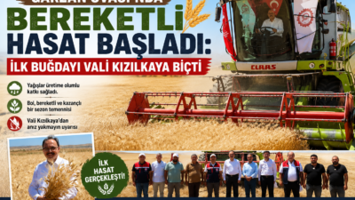 Siirt'te 2026 yılı hububat hasadı, Garzan Ovası'nda bulunan Saipbeyli köyünde