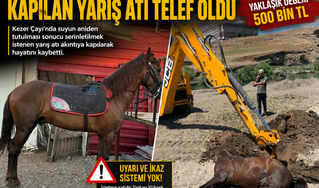 Siirt'te Kezer Çayı'nda serinletilmek istenen bir yarış atı, baraj suyunun