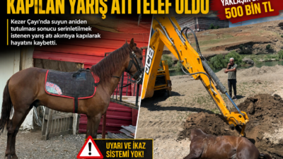 Siirt'te Kezer Çayı'nda serinletilmek istenen bir yarış atı, baraj suyunun