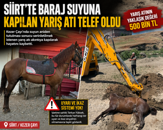 Siirt'te Kezer Çayı'nda serinletilmek istenen bir yarış atı, baraj suyunun