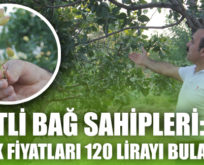 SİİRTLİ BAĞ SAHİPLERİ: “FISTIK FİYATLARI 120 LİRAYI BULABİLİR”