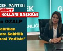 ÖZALP, “ÖLDÜRÜLEN KADINLARA ŞEHİTLİK MERTEBESİ VERİLSİN”