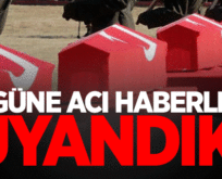 PERVARİ’DEKİ TERÖR OPERASYONUNDA 2 ÖZEL HAREKAT POLİSİ ŞEHİT OLDU