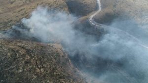 Siirt’in Gökçebağ beldesinde piknikçilerden arta kalan küllerin tutuştuğu fıstık bahçelerindeki
