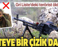 GRİ KATEGORİDE ARANAN TERÖRİST SİİRT’İN BAYKAN İLÇESİNDE ÖLDÜRÜLDÜ