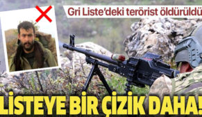 GRİ KATEGORİDE ARANAN TERÖRİST SİİRT’İN BAYKAN İLÇESİNDE ÖLDÜRÜLDÜ