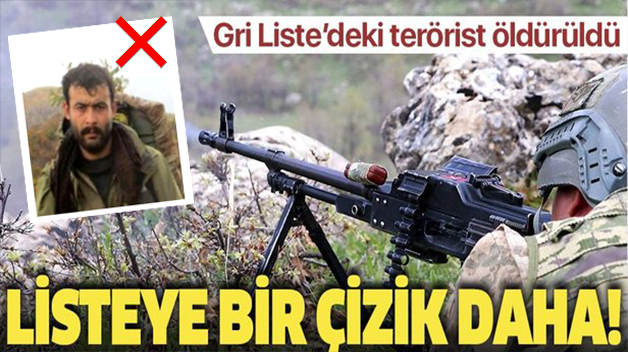 GRİ KATEGORİDE ARANAN TERÖRİST SİİRT’İN BAYKAN İLÇESİNDE ÖLDÜRÜLDÜ