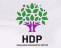 HDP SİİRT BELEDİYE BAŞKAN ADAYI AÇIKLANIYOR!