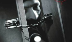 Siirt İl Emniyet Müdürlüğü, Asayiş Şube Hırsızlık Büro Amirliği ekiplerince,