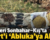 İçişleri Sonbahar-Kış’ta Siirt’i ‘Abluka’ya Aldı