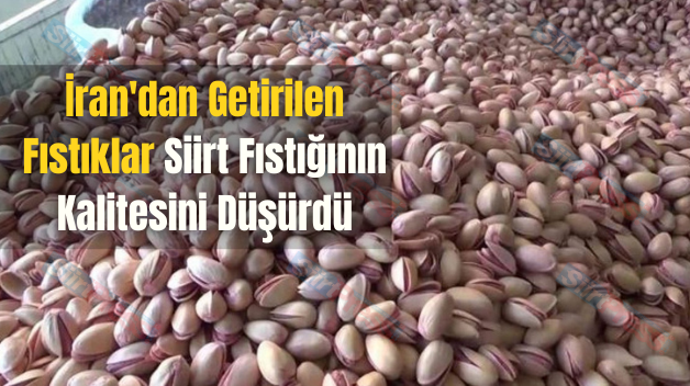 İran’dan Getirilen Fıstıklar Siirt Fıstığının Kalitesini Düşürdü