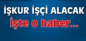 Siirt İŞ-KUR İl Müdürlüğü, Toplum Yararına Programlar (TYP) çerçevesinde Siirt