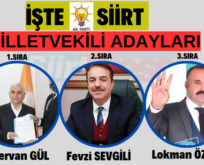 İşte AK Parti Siirt Milletvekili Adayları