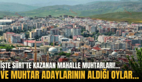 İŞTE SİİRT’TE KAZANAN MAHALLE MUHTARLARI!…VE MUHTAR ADAYLARININ ALDIĞI OYLAR…