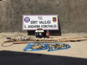 Siirt İl Jandarma Komutanlığınca ‘Kaçak Balık Avlanma’ yapan kişi veya