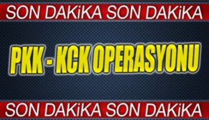 Siirt İl Emniyet Müdürlüğü Terörle Mücadele (TEM) Şube Müdürlüğü ekiplerince,